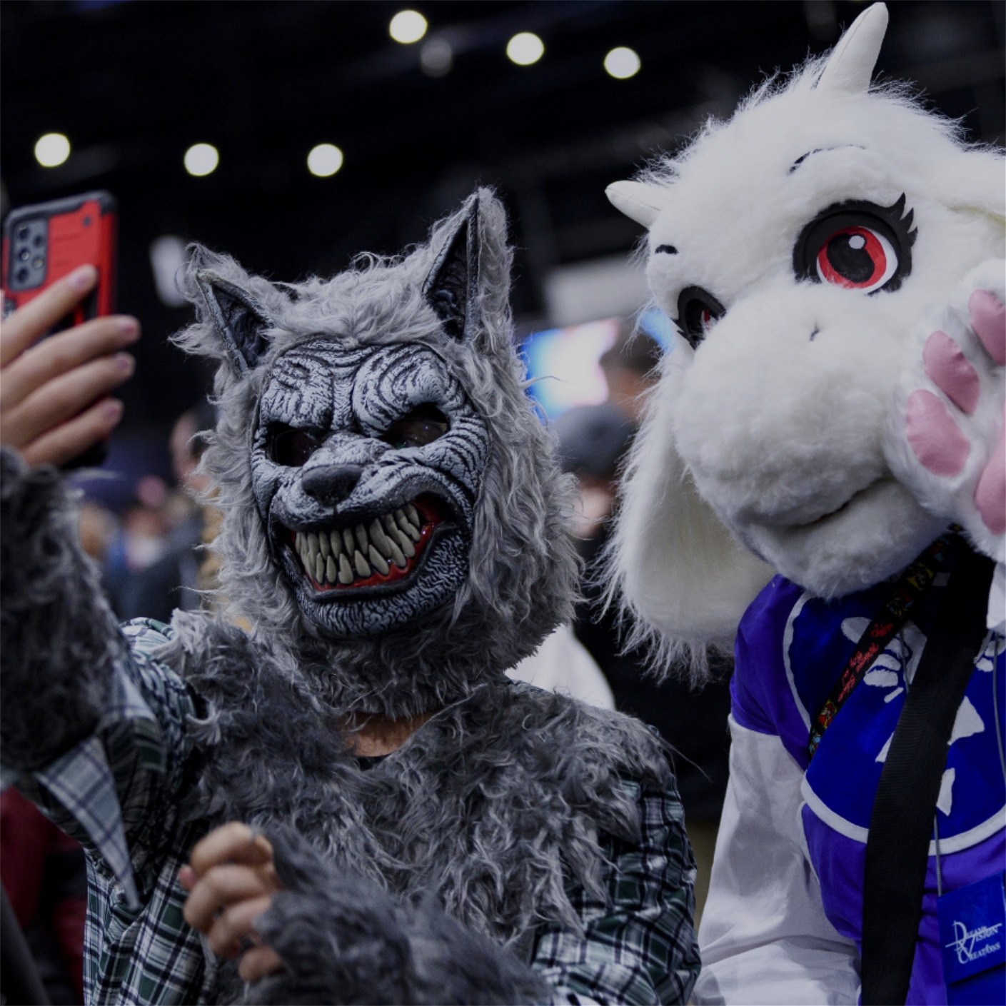 Header Image