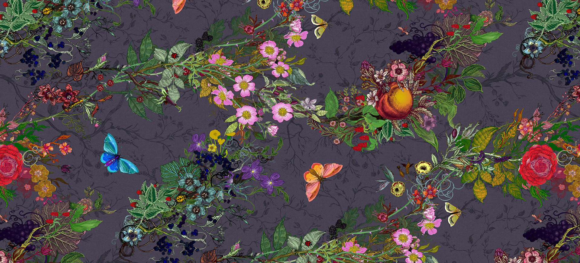 Header Image