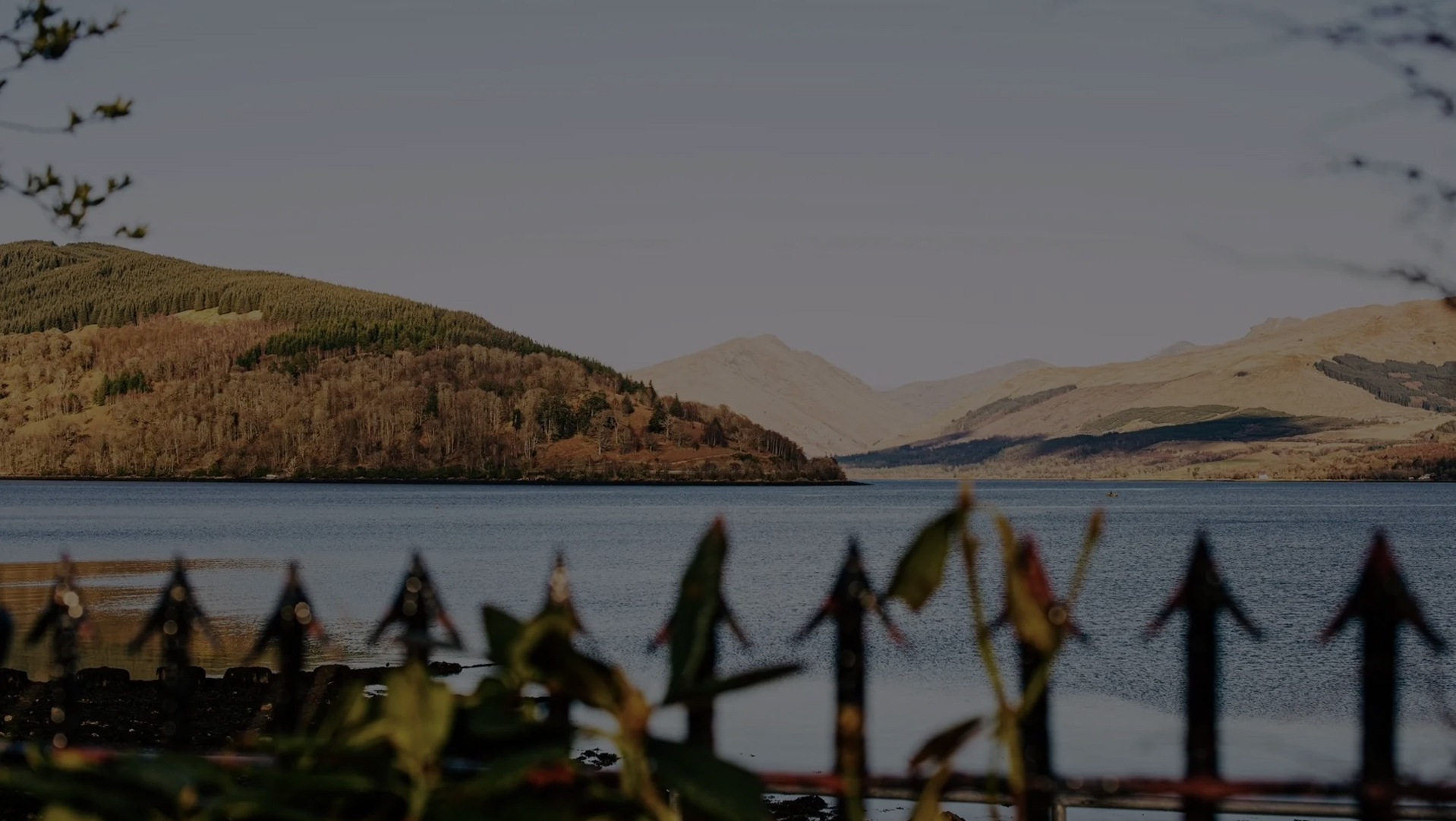 Header Image